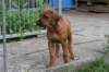 bild037_small.jpg