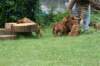 bild039_small.jpg