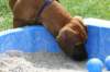 bild043_small.jpg
