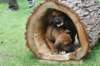 bild045_small.jpg