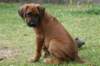 bild047_small.jpg