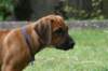 bild048_small.jpg