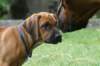 bild049_small.jpg