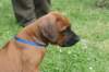 bild057_small.jpg