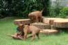 bild058_small.jpg