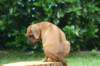 bild064_small.jpg