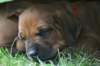 bild065_small.jpg