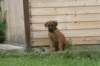 bild067_small.jpg