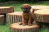 bild073_small.jpg