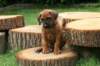 bild074_small.jpg