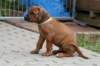 bild076_small.jpg