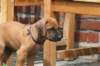 bild078_small.jpg