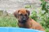 bild080_small.jpg