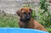 bild083_small.jpg