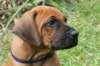bild084_small.jpg