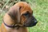 bild086_small.jpg
