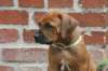 bild088_small.jpg