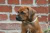 bild089_small.jpg