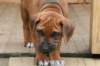 bild090_small.jpg