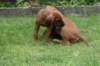 bild095_small.jpg