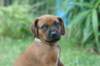 bild097_small.jpg