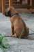 bild114_small.jpg