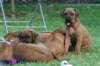 bild115_small.jpg