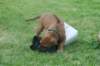 bild140_small.jpg