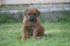 bild146_small.jpg