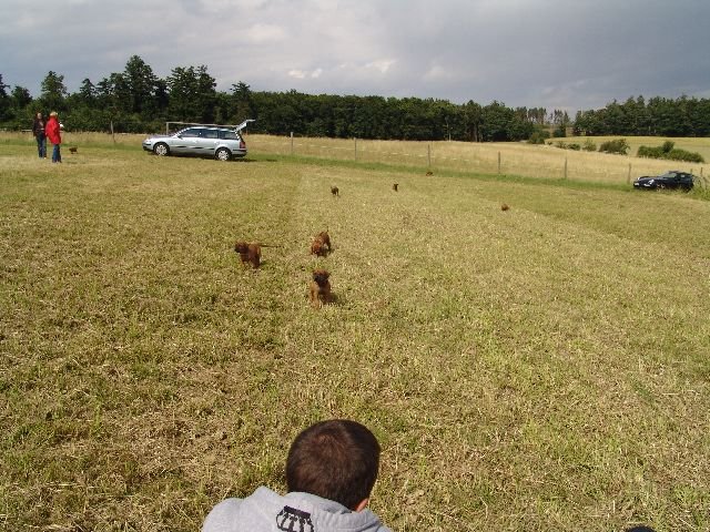 bwurf4042.jpg