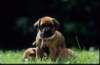 bwurf4055_small.jpg