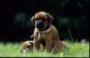 bwurf4056_small.jpg