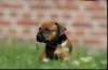 bwurf4062_small.jpg