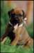 bwurf4072_small.jpg