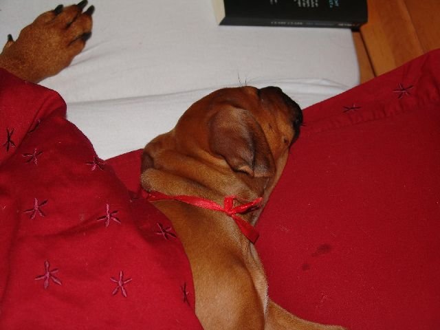 bwurf4074.jpg