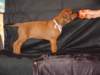 bwurftag39003_small.jpg