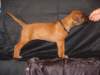 bwurftag39005_small.jpg