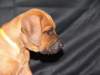 bwurftag39027_small.jpg