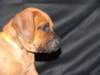 bwurftag39029_small.jpg