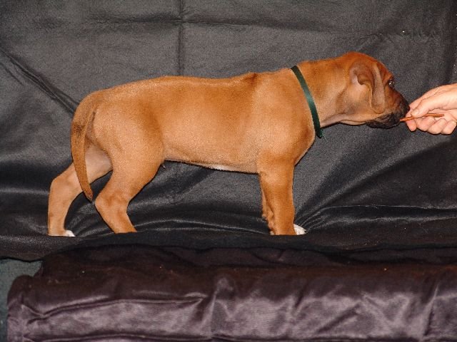 bwurftag39037.jpg