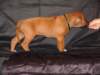 bwurftag39037_small.jpg