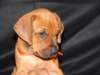 bwurftag39040_small.jpg
