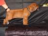 bwurftag39045_small.jpg