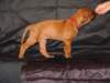 bwurftag39049_small.jpg
