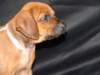 bwurftag39050_small.jpg