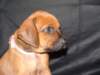 bwurftag39051_small.jpg