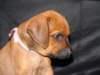 bwurftag39052_small.jpg