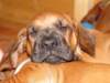 bwurftag39061_small.jpg