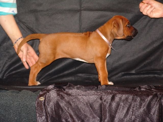 bwurftag39069.jpg