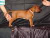 bwurftag39069_small.jpg